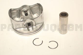 1210078860 PISTON SET