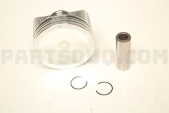 1210078860 PISTON SET