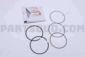 1214061M00 RING SET,PISTON