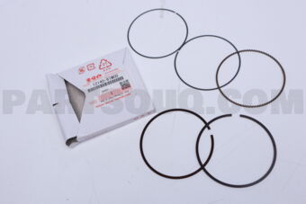 1214061M00 RING SET,PISTON