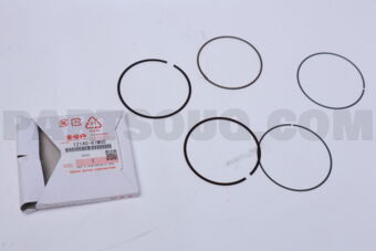 1214061M00 RING SET,PISTON