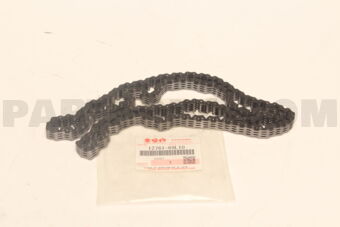 1276169L10 CHAIN,TIMING