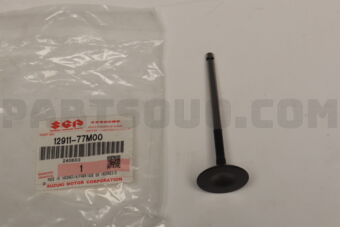 1291177M00 VALVE INTK