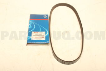 1752152R30 BELT,WATER PUMP 5PK882