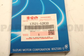 1752152R30 BELT,WATER PUMP 5PK882