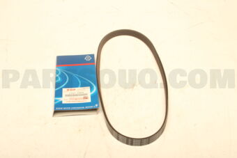 1752152R30 BELT,WATER PUMP 5PK882