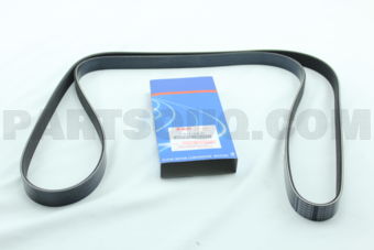 1752154L31 BELT, WATER PUMP