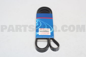 1752154L31 BELT, WATER PUMP