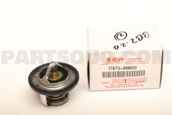 1767066M00 TERMOSTAT WATER