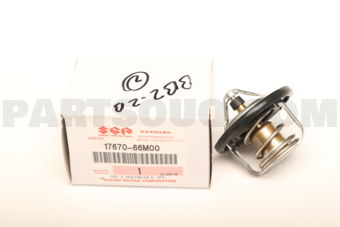 1767066M00 TERMOSTAT WATER