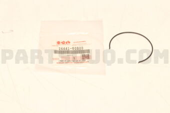 2444160B00 SPRING