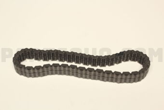 2922555C10 CHAIN,FRONT DRIVE