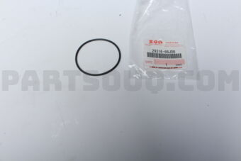 2931666J00 O RING
