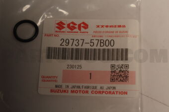 2973757B00 O RING