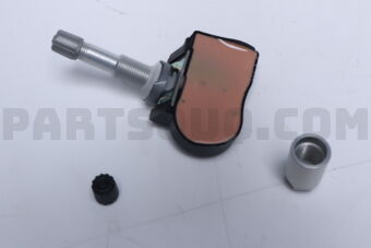 4313952S13 VALVE SET,TPMS