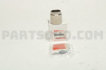 5589077K02 PISTON/SEAL SET