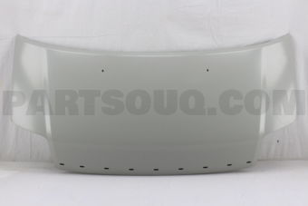 5810061J10 PANEL FR HOOD