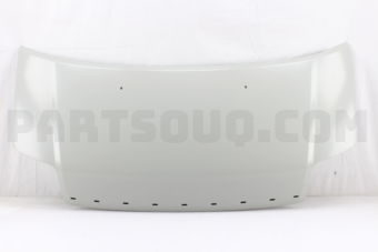 5810061J10 PANEL FR HOOD