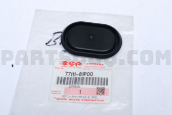 7711181P00 CAP,RR DR UPR RAIL