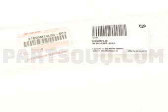 81850M74L00 BALANCER,BACK DOOR,R