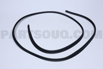 8461165D005PK MOLDING, WINDSHIELD (BLACK)