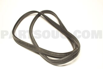84681M79M11 WEATHERSTRIP, OPNG