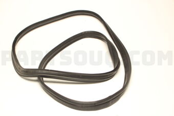 84681M79M11 WEATHERSTRIP, OPNG