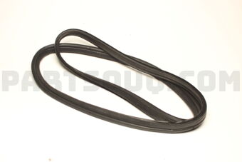 84681M79M11 WEATHERSTRIP, OPNG