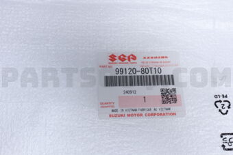 9912080T10 DOOR VISOR