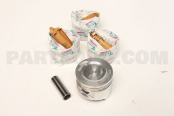 421570050 PISTON SET 050 FE