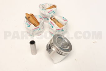 421570050 PISTON SET 050 FE