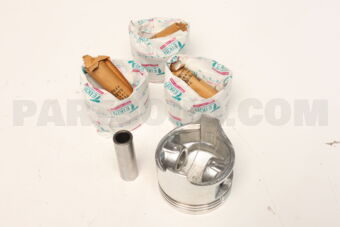 421570050 PISTON SET 050 FE