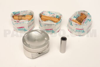 42166100 PISTON  100 FS