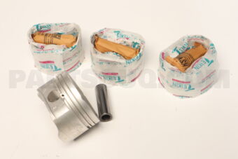 42166100 PISTON  100 FS