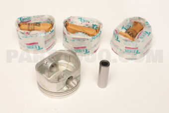 42166100 PISTON  100 FS