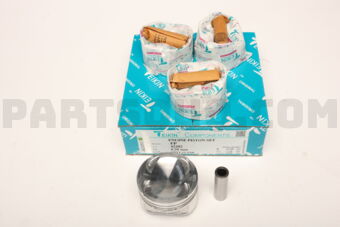 422020050 PISTON SET 050 FP