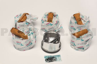 442740050 PISTON SET 050 VG33E