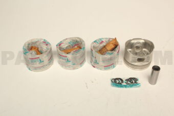 44669100 PISTON  100 GA14