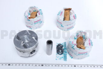456540050 PISTON  050 G13B-II