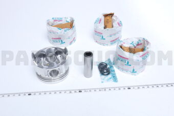 456540050 PISTON  050 G13B-II