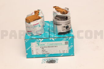 461070050 PISTON SET 050 5K (SET OF 1)