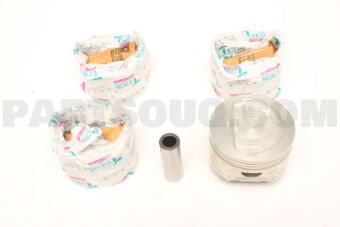 46120100 PISTON SET 100 3Y (SET OF 1)