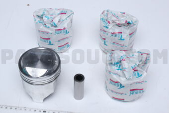 46211100 PISTON SET 100 2T/2TU (SET OF 1)