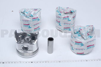 46211100 PISTON SET 100 2T/2TU (SET OF 1)