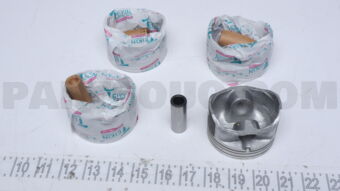 511210050 PISTON ASSY 050
