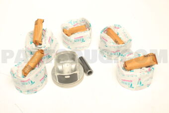 511240050 PISTON SET 050 DELTA