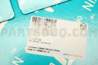 511240050 PISTON SET 050 DELTA