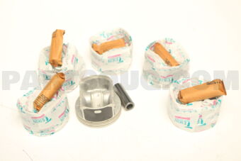 511240050 PISTON SET 050 DELTA