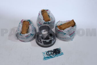 51160100 PISTON SET 100 G4NC (SET OF 1)