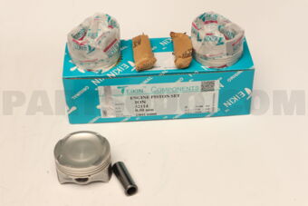 521140050 PISTON SET 050 ION